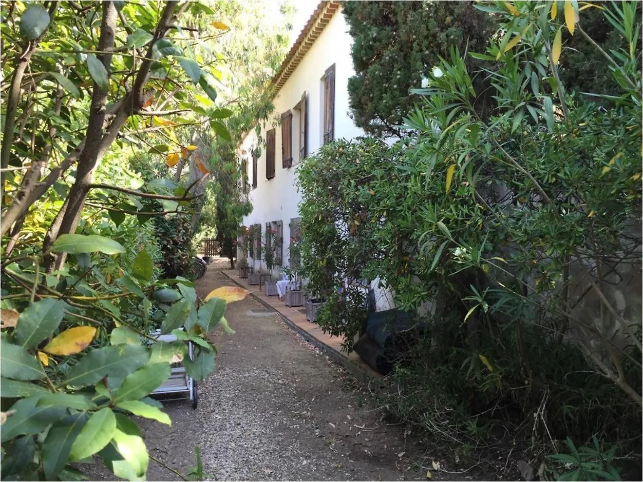 Villa Spacieuse A Deux Pas Du Centre Du Village Et De La Mer Porquerolles France